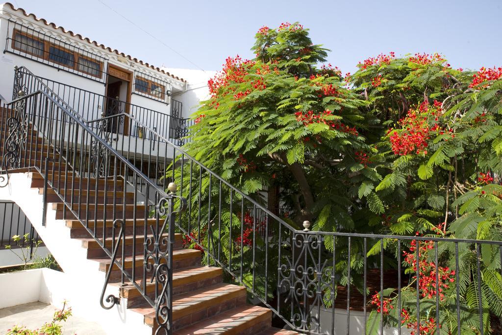 Alsol Las Orquídeas Playa del Inglés Exterior foto