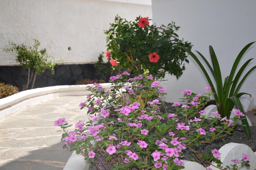 Alsol Las Orquídeas Playa del Inglés Exterior foto