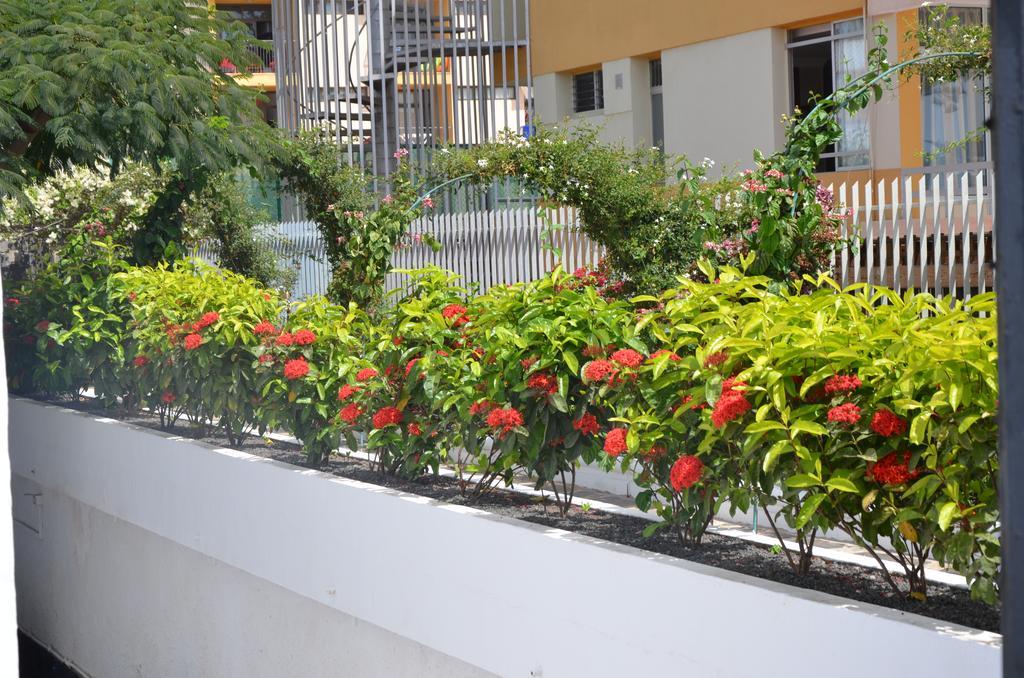 Alsol Las Orquídeas Playa del Inglés Exterior foto